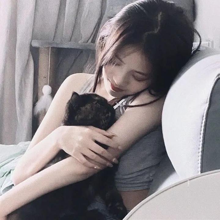 爱猫人